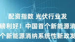 配资指数 光伏行业发展或迎重磅利好！中国首个新能源消纳系统性新政发布