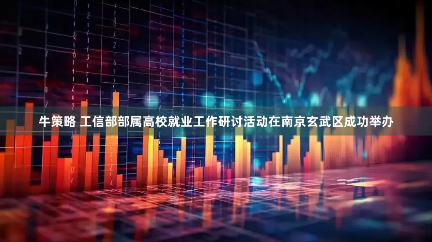 牛策略 工信部部属高校就业工作研讨活动在南京玄武区成功举办